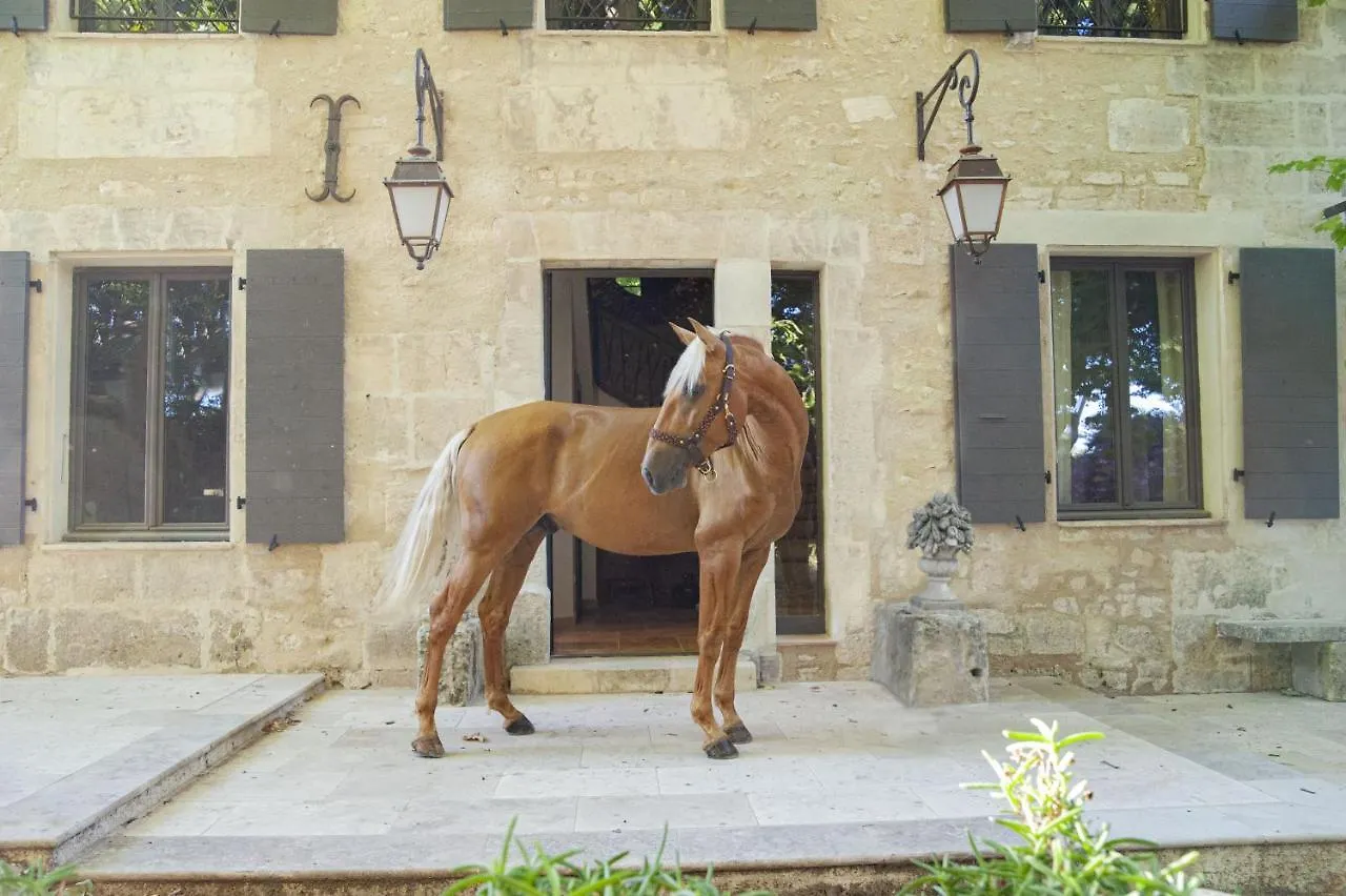 Domaine Cap Rubis location
