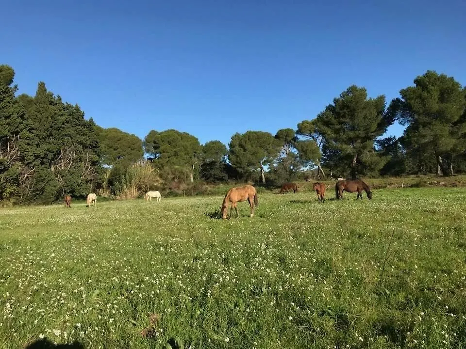 Domaine Cap Rubis Bed & Breakfast Paradou 0*,